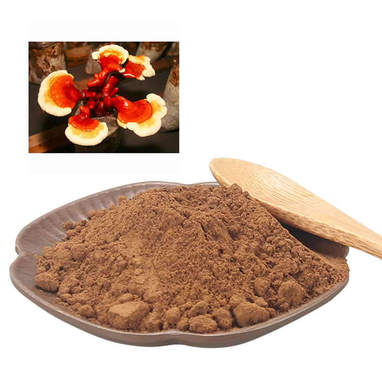 How Long Does It Take for Reishi Extract Powder to Work?